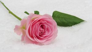 350+ Anniversary Wishes for Every Year & Relationship