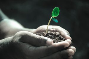 600+ Good Luck Wishes & Messages for Every Occasion