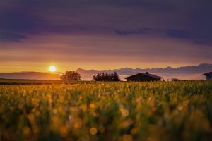 150+ Sunday Blessings: Morning, Afternoon, Evening & Night Prayers, Quotes, Bible Verses & Images Ultimate Guide