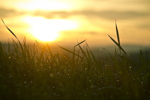 100+ Thursday Blessings, Prayers & Quotes: The Ultimate Good Morning to Good Night Collection (with Images & Bible Verses)