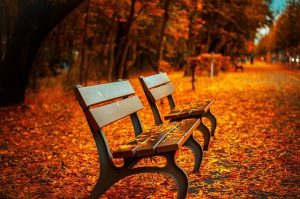 300+ Fall Blessings: Heartfelt Quotes, Prayers & Messages for Autumn Peace, Gratitude & Joy