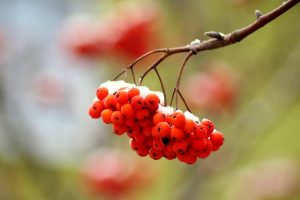 January Blessings: Beautiful Quotes, Prayers, Messages & Images to Welcome the New Month